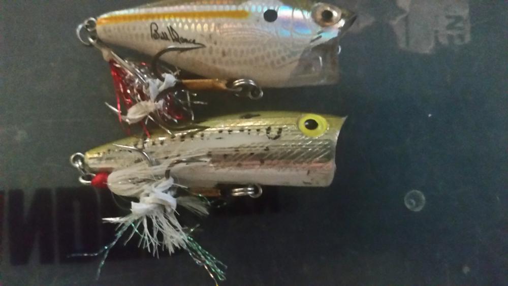 rebel, heddon.jpg