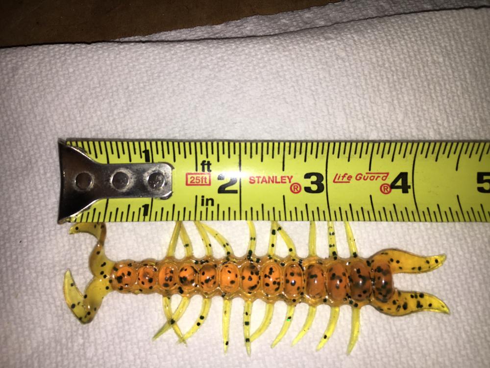 Hellgrammite- Centipede soft plastic.JPG