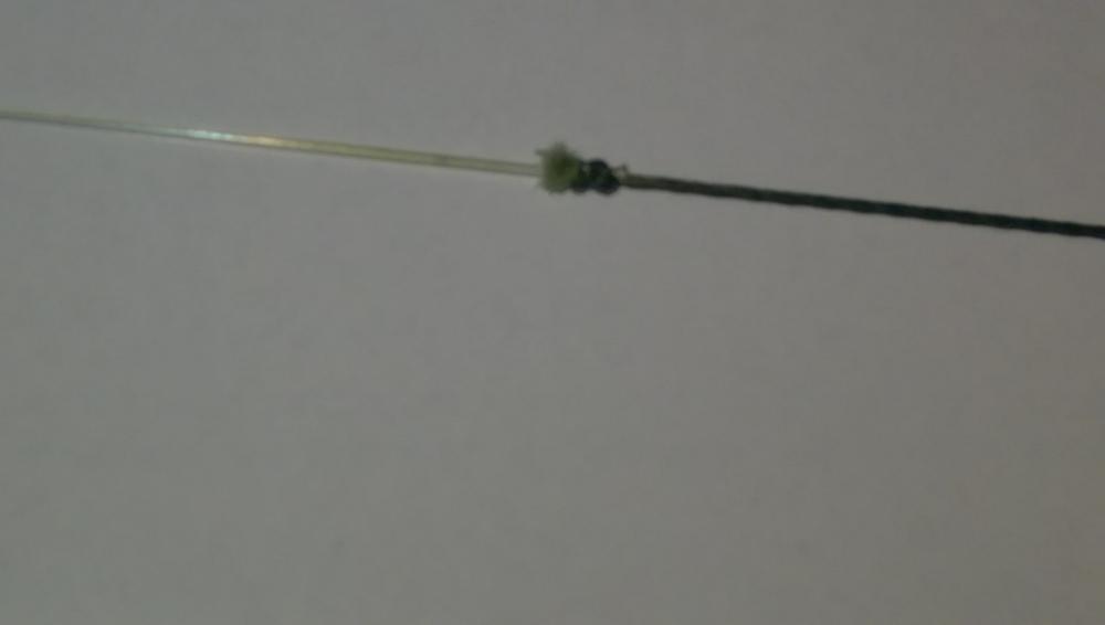 IMAG1126.jpg