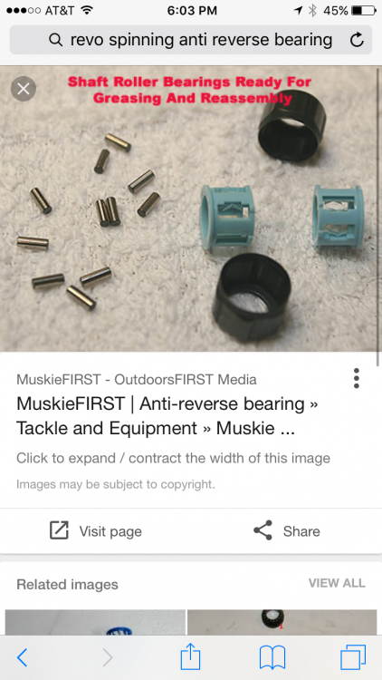 IMG_1027.PNG