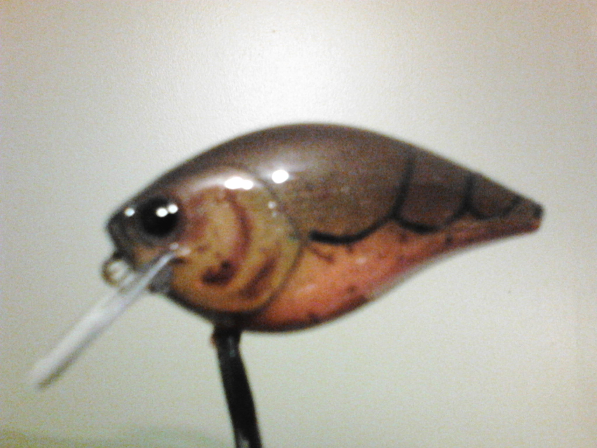 Painting Crankbaits ?'s - Tacklemaking - Bass Fishing Forums