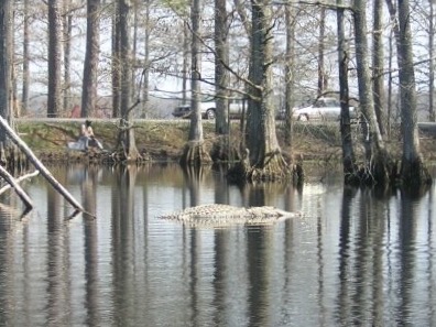 IMG_2729.JPG.6cc58b2efff11e6bf904ba376f3937da.JPG