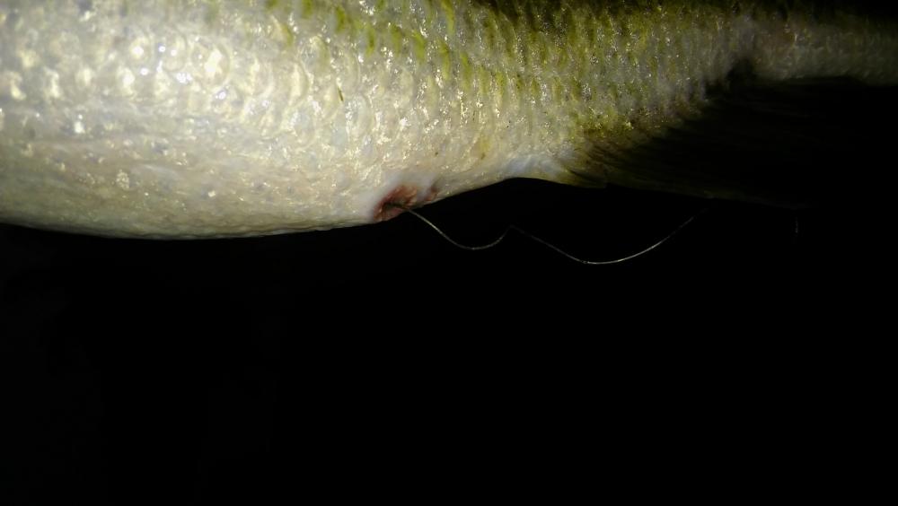 20170105_175436.jpg