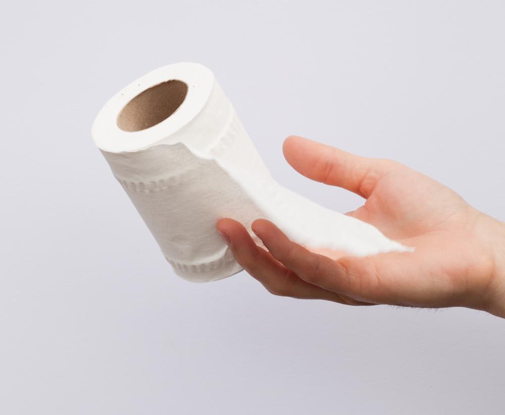 Half_a_white_toilet_paper_roll.jpg