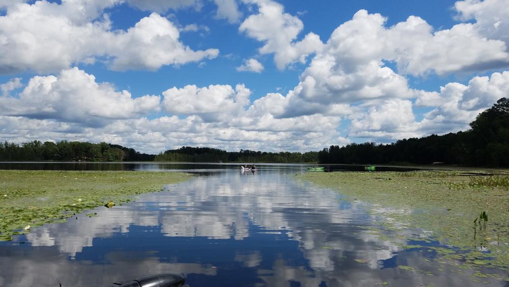 20160814_131743.jpg