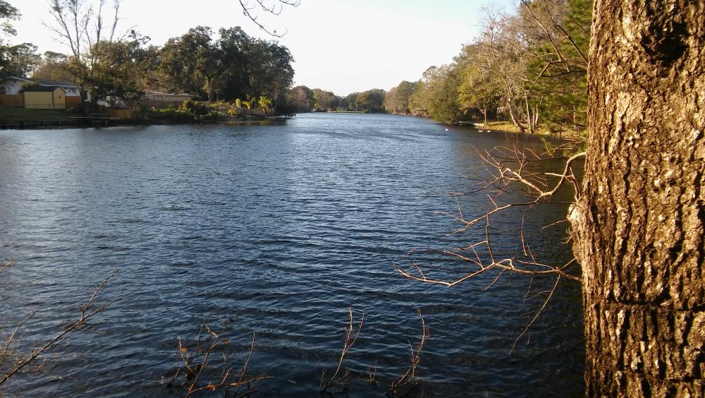 20170129_164342.jpg