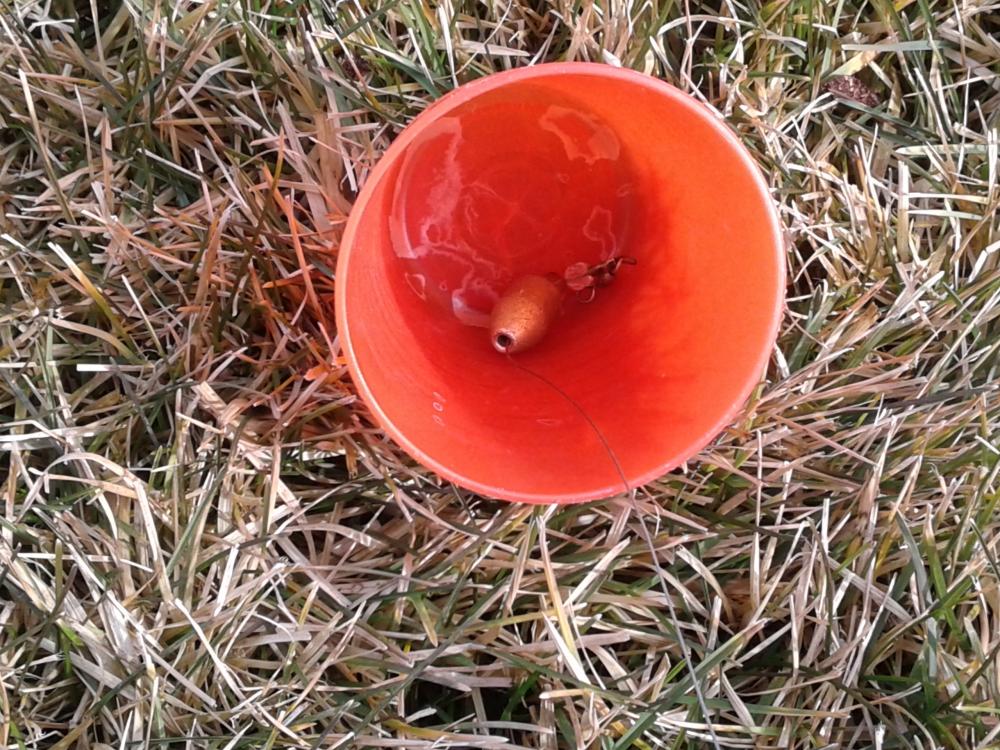 20170220_150035.jpg