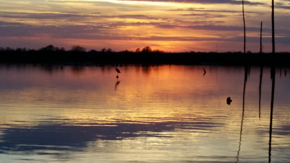 Sunset on Toledo Bend.jpg