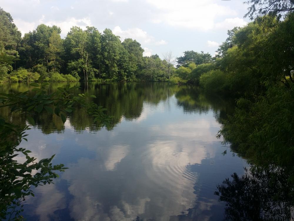 20160706_164702[1].jpg