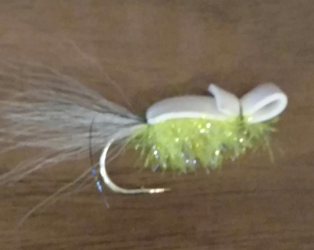 striper gurgler.jpg