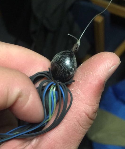 bass thumb.jpg