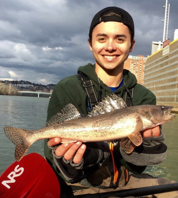 58b268cff173c_17.5Sauger.jpg.bdf70b6be59b6f0d3cd4931d62c68c72.jpg