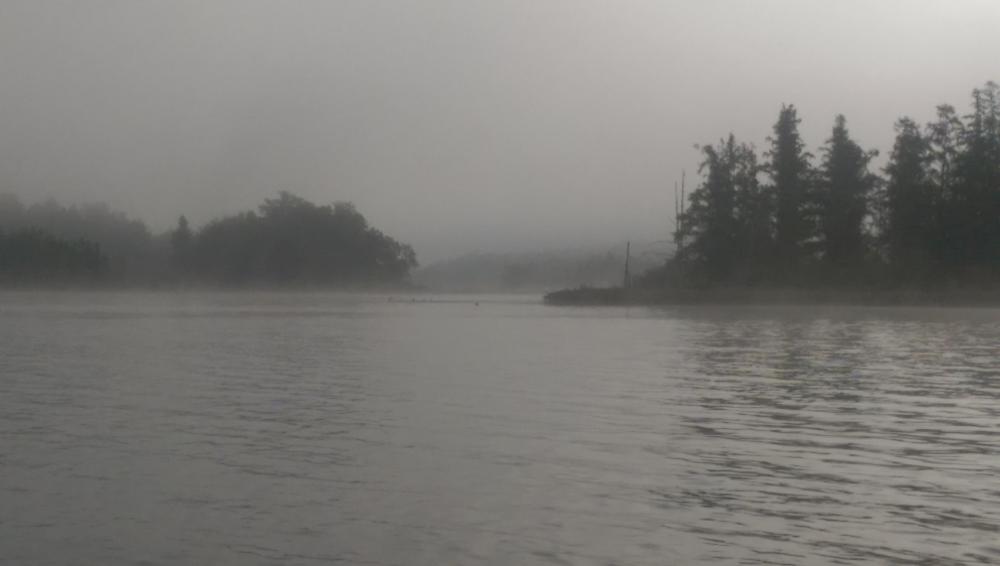 IMAG1536.jpg