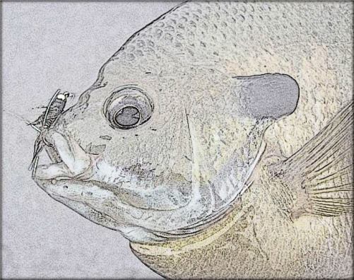 Size2.jpg