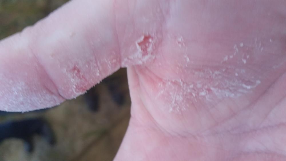 20151204_172722.jpg