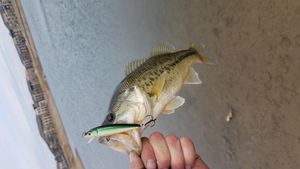 20170226_080939.jpg