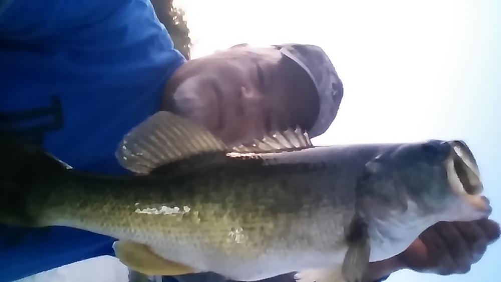 20170319_195306.jpg