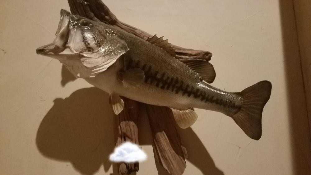 20170330_163133.jpg
