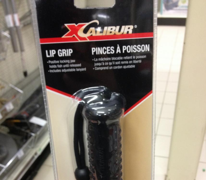 Xcalibur Lip.jpg