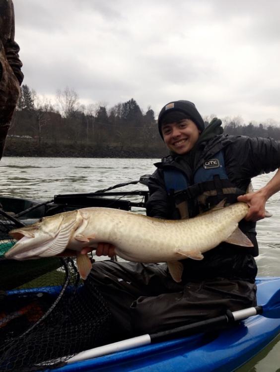 58cdee9e70132_MuskyNumber1.thumb.jpg.d997ab748cce76bf3f81eb7b067168f4.jpg