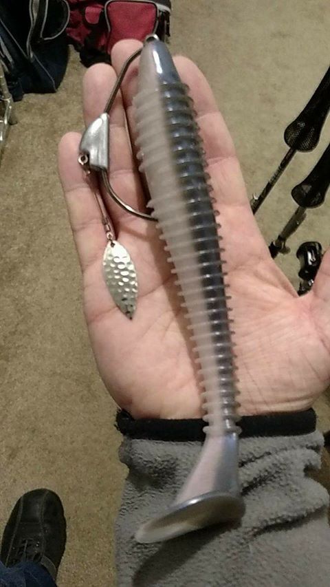 Keitech 6.8 and 7.8 - Fishing Tackle - Bass Fishing Forums