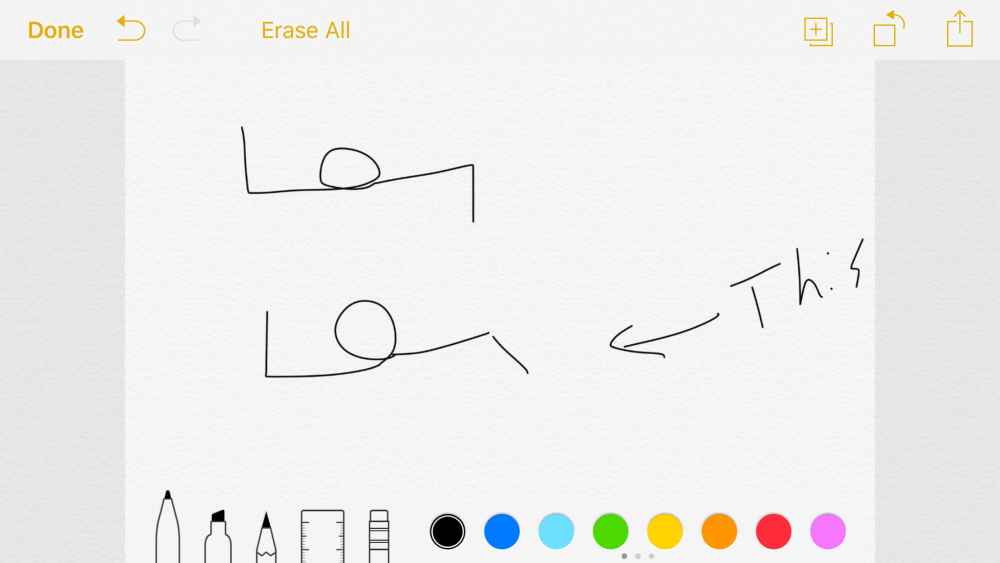 IMG_6784.PNG