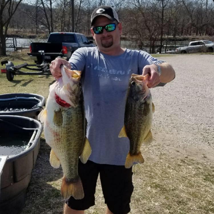 bass1.jpg