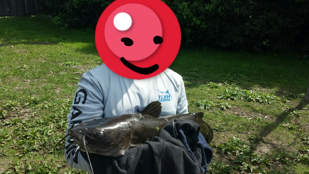catfish.png