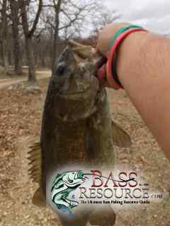 bigsmallie2.JPG