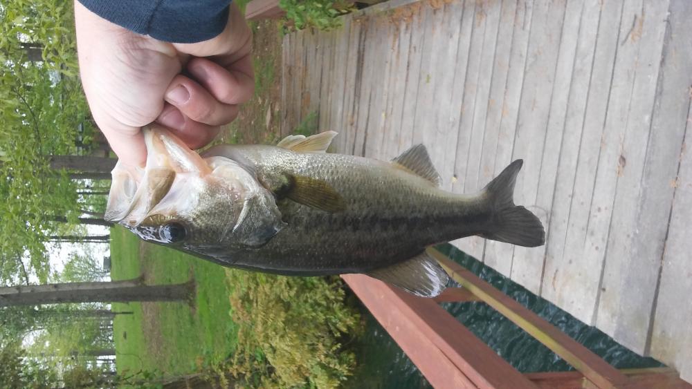 0427171220.jpg