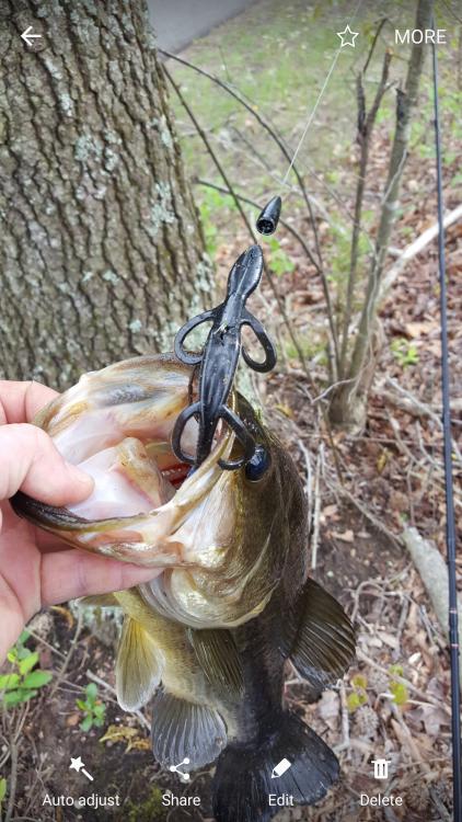 2017-04-24_07_29_32.thumb.jpg.b452f54a44d0a5c49dc63c28014442b6.jpg