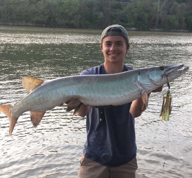 58f81ae86e775_ShowgirlMusky.jpg.e0d5bce91da22f488aba71784f2c8684.jpg