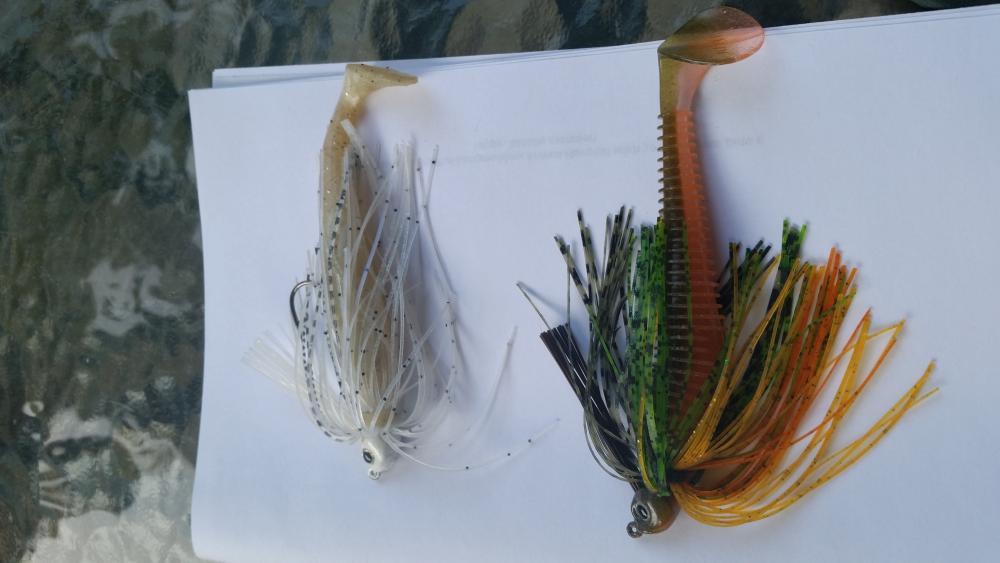 20150711_194521.jpg