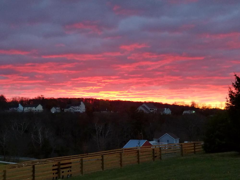 20161120_065412.jpg