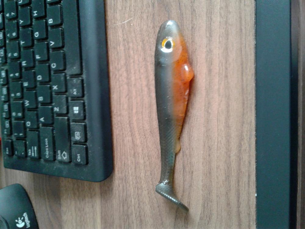 Fringe Tackle Bream.jpg