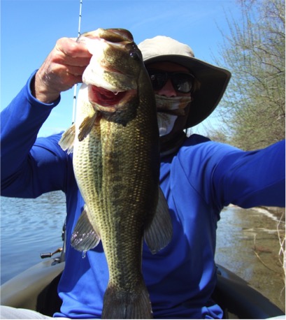 5928d9db9e60c_bass1.jpg.85b78b5965509df66a2fad666c3593e0.jpg