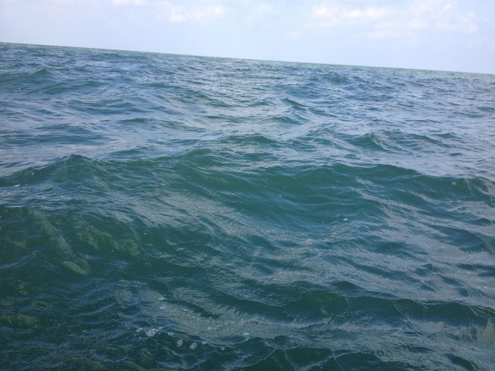 IMG_1565.JPG