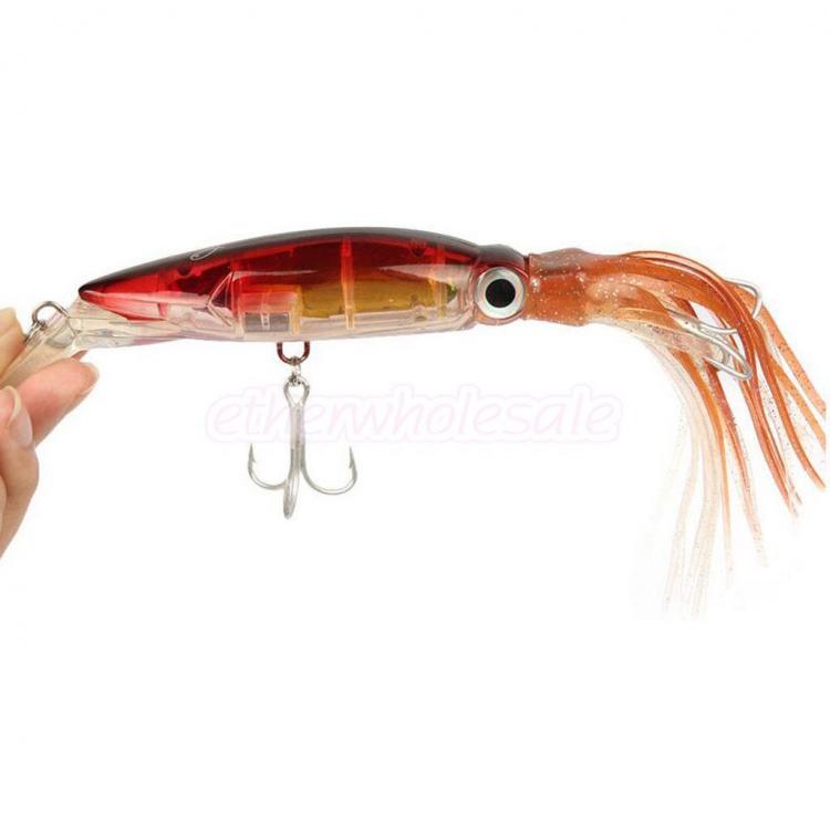 squid.thumb.jpg.2659adda59635695d9be95d6e2ff175f.jpg