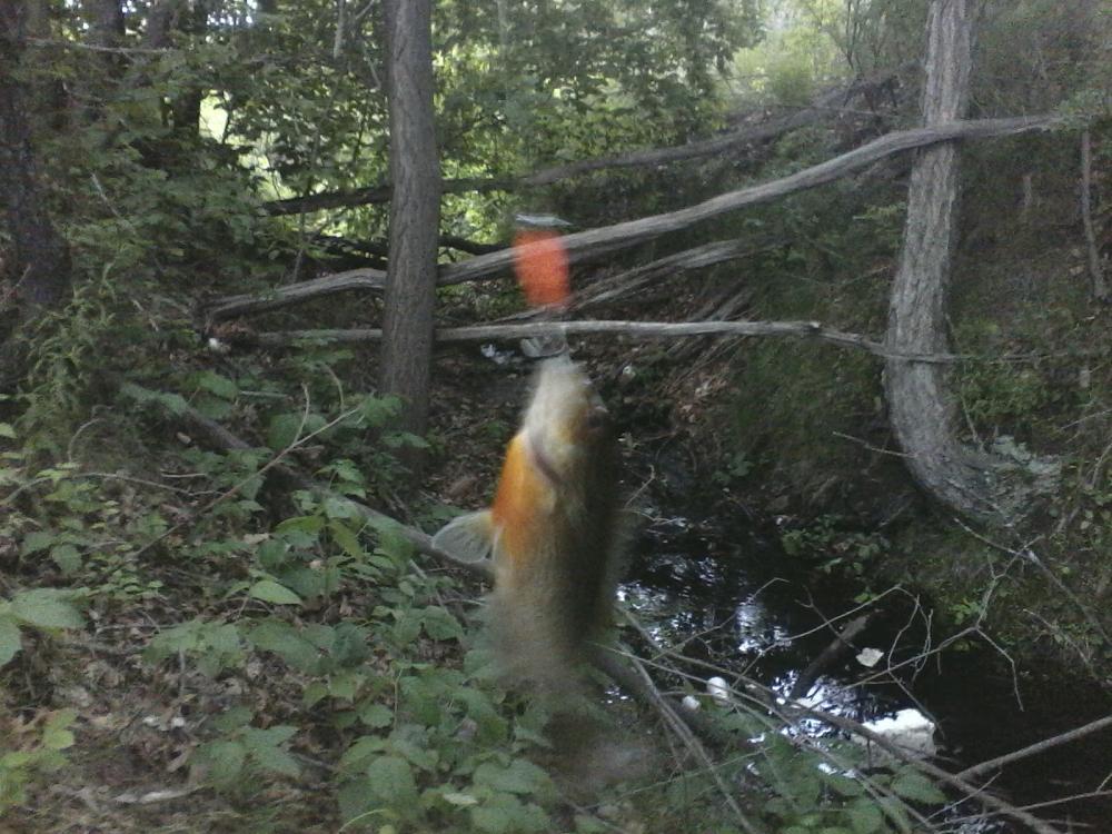 11809924771.jpg