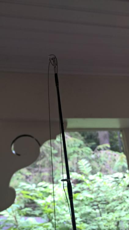 WP_20170625_15_23_03_Pro - Copy.jpg