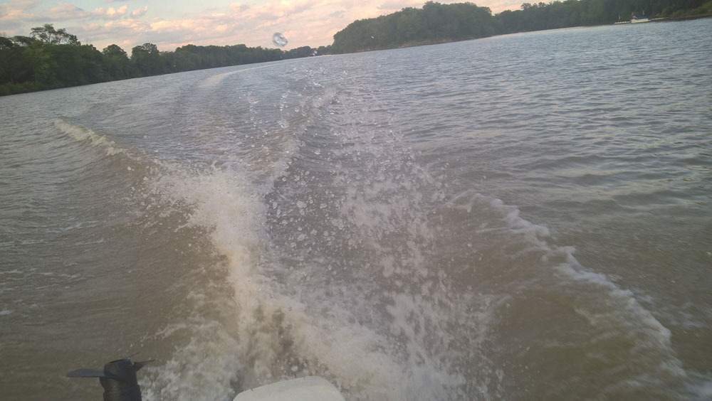 5953c2401c3a2_Walleye-Huntr-@-14MPH.jpg.c82030e9ca3f301fd08520091a50a207.jpg