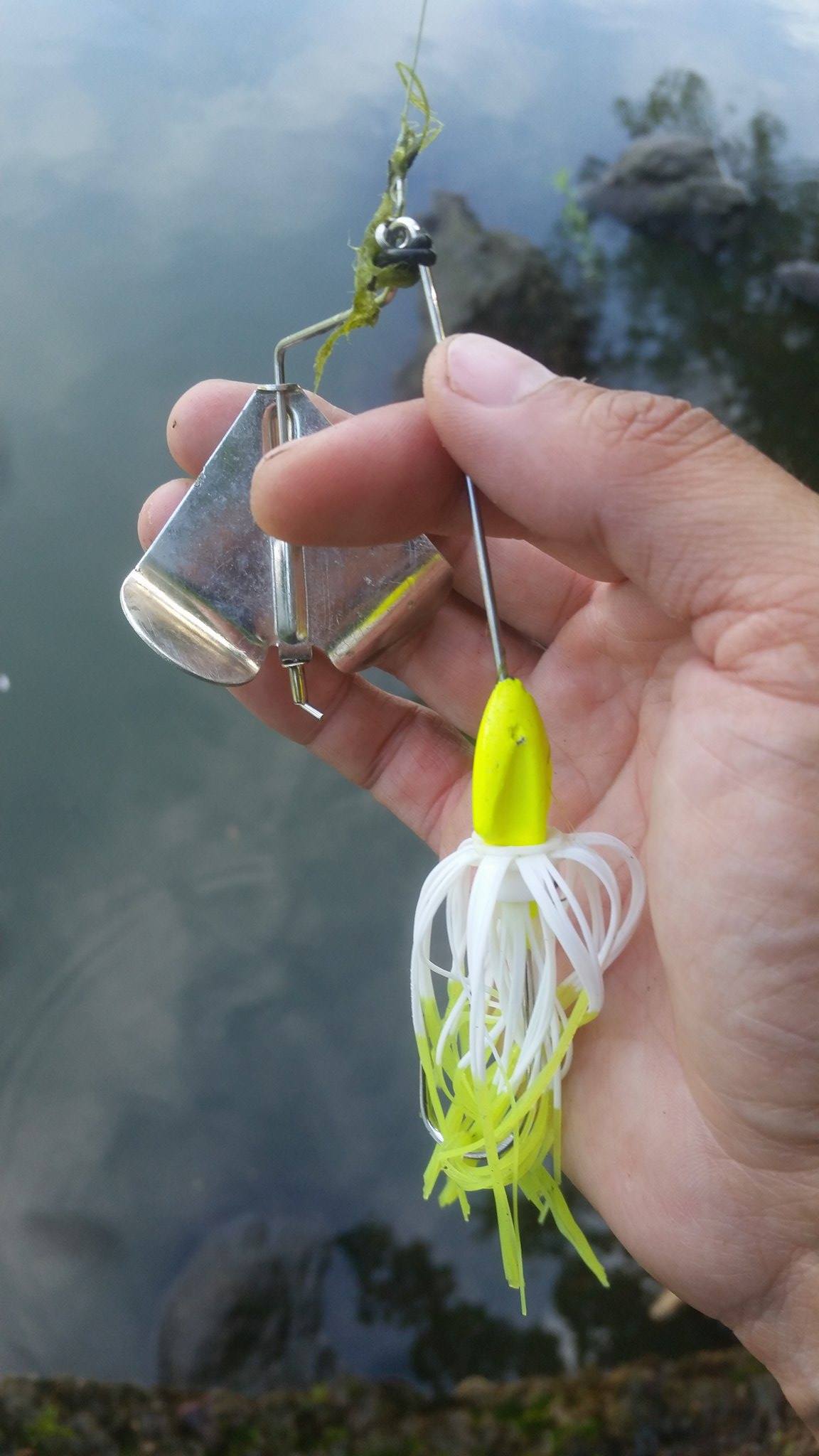 Best buzzbait? - Fishing Tackle - Bass Fishing Forums