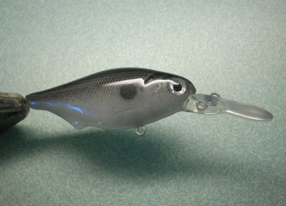 DSCN0161.JPG
