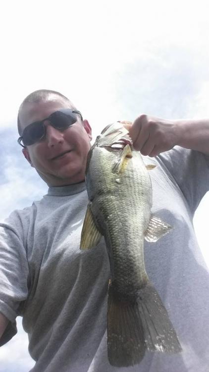 fish2.thumb.jpg.bbe3d77decff7b99e3522d5a2170554a.jpg