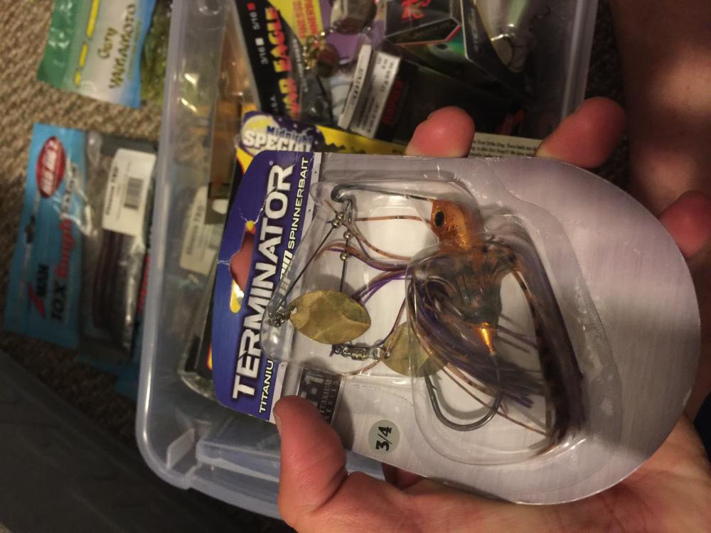 image.jpeg