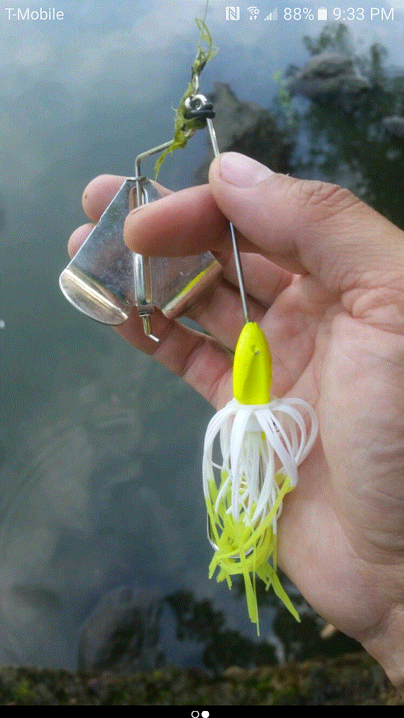 Please identify this buzzbait - Fishing Tackle - Bass Fishing Forums