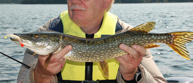 596ec34f5171c_Pike_snotrocket.jpg.98f5f1fb000f71cabeceadbbe22637bb.jpg