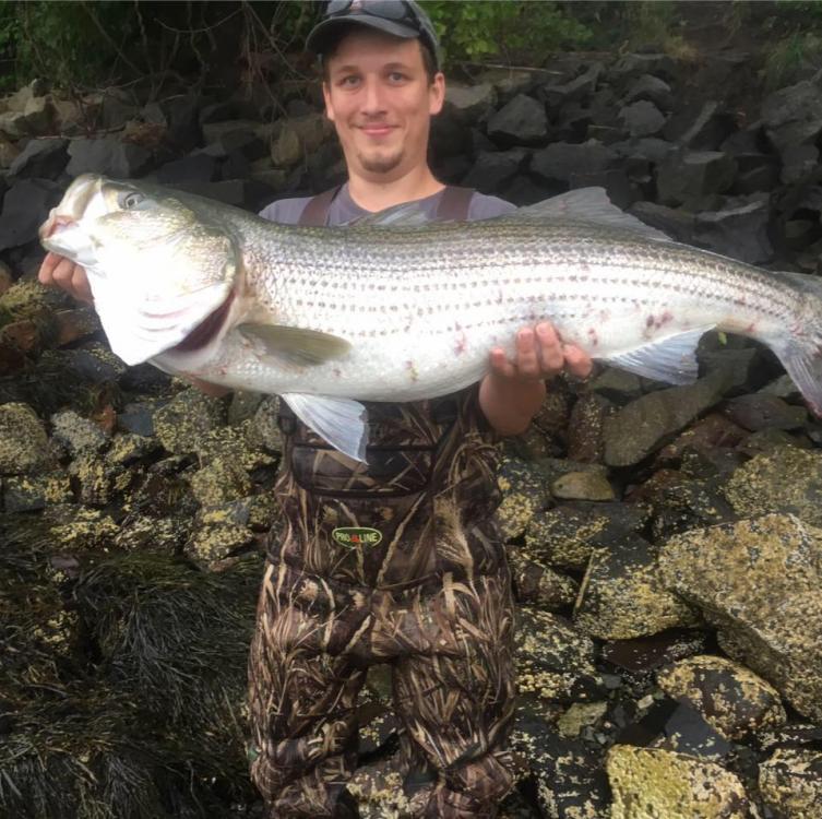 30lb striper.jpg