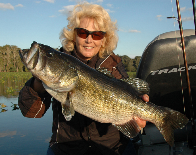 LMB-609-Lo-d-Ar-Oct18-09-BR.jpg.db50394ea173546f7d9d3c5a20882dce.jpg