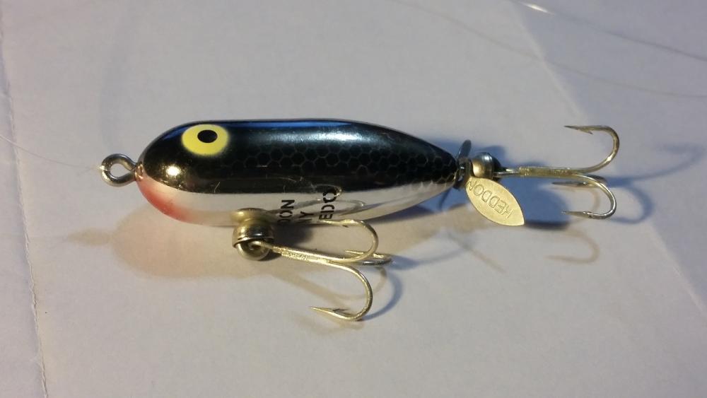 TinyTorpedo.thumb.jpg.a433c6fffd3062d3a7e6e3c222f486eb.jpg